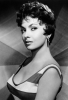 Gina Lollobrigida Gina Lollobrigida